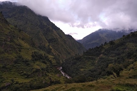 Pipal Koti