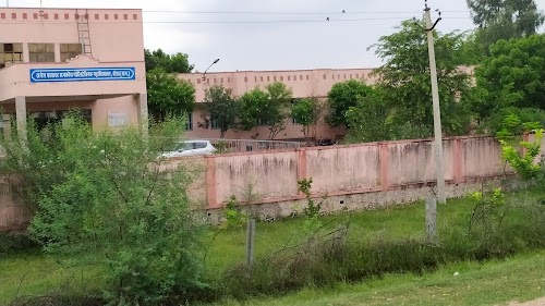 Rajesh Pilot Govt. Polytechnic College, Dausa
