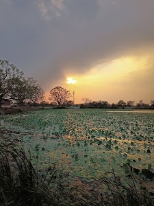 Badnara