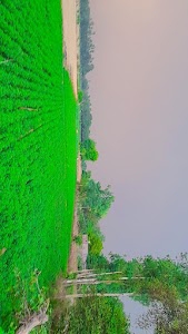 Kalupur