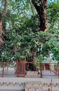 Shukali veer Baba