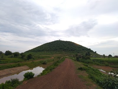 Nerodi