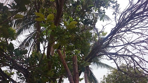 Bhuvanahalli