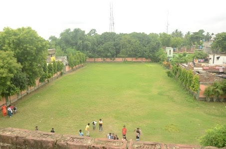 Dasarath Saha Memorial Butterfly School(English-Medium)