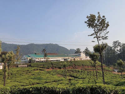 Tea Factory Munnar