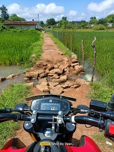 Narra