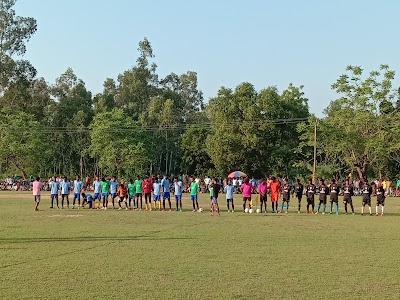 Hamirhati