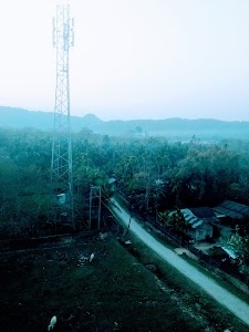 Dari Duri