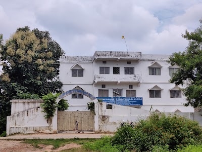Aviram College