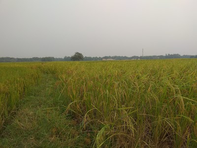 Keshpur Redcross