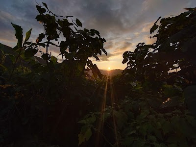 Nagone village
