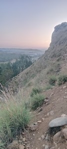 Pulwama