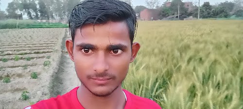 Holupur