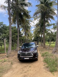 Maya Farms