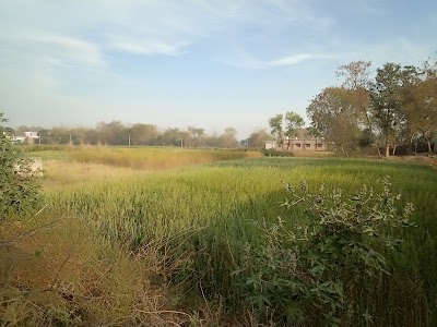 Ghurapali