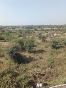 Hamirgarh