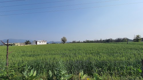 Bangarh