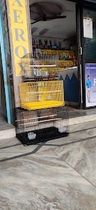 ROYAL PET SHOP