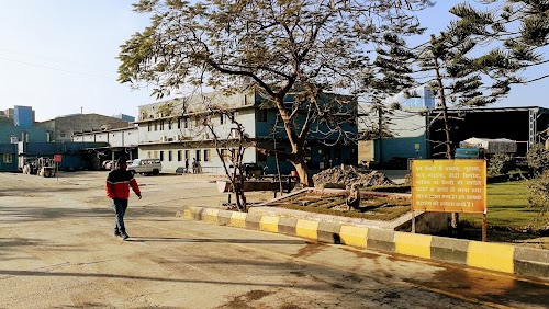 Gujarat Ambuja Exports Ltd