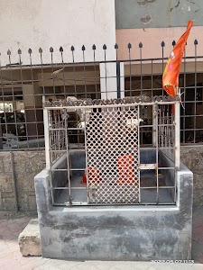 Shani Dev and Shakti Hanuman