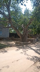 Dhurra Khas Urf Premnagar