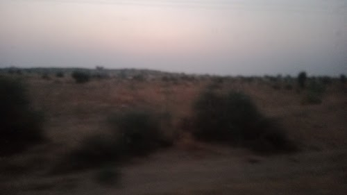 Bhadli