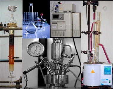 Anant Pharmaceuticals Pvt. Ltd.