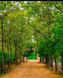 GREEN LEAF ORGANIC FARM