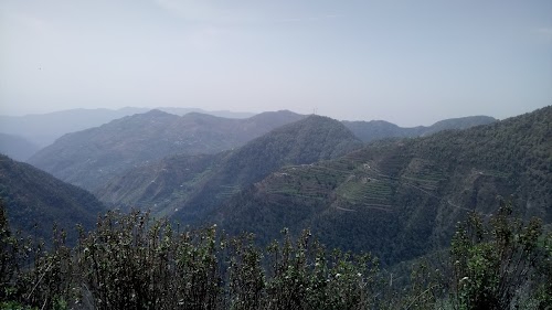 Korga