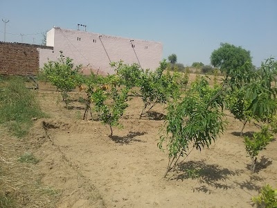 Dariyapur