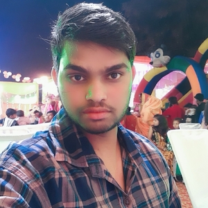 Sultan Pur