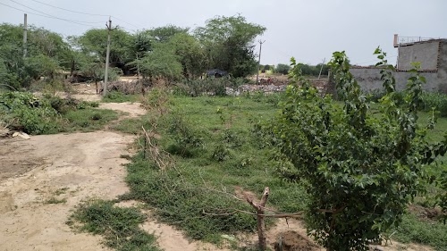 Israil khan s/o Niwaj khan farm house (इसराइल s/o निवाज खान फार्म हाउस)