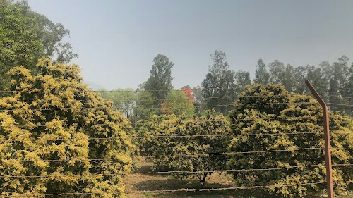 Vikas Nagar