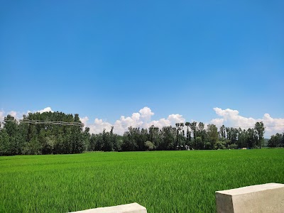 Waghama