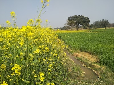 Nasratpur