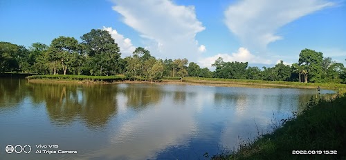 BabyLand Park