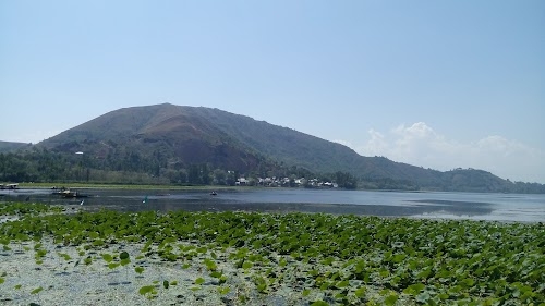 Jammu and Kashmir Bank