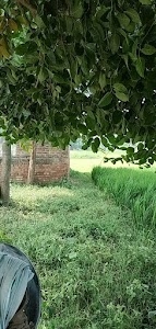 Girdharpur