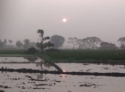 Raman Photographer