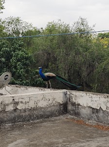 Mathura Refinery Nagar