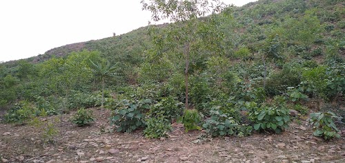 Shrirampur
