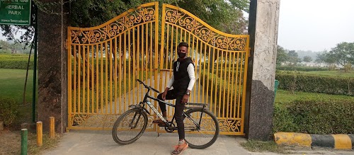 Balu adda