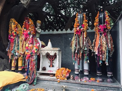 Veer Baavji Mandir,Dhani (Bali)