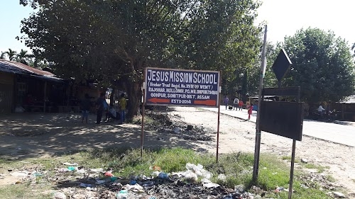 Hollongi Karbi