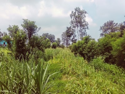 Tikkar