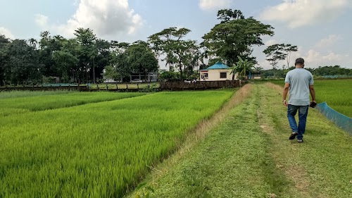 Gulaghat New Jame Mosque গোলাঘাট নতুন জামে মসজিদ