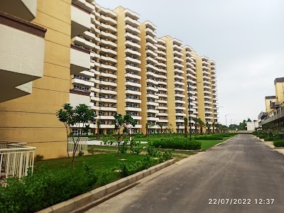 Pyramid Urban Homes