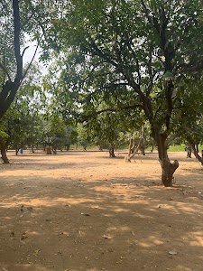 Rain Forest Farm