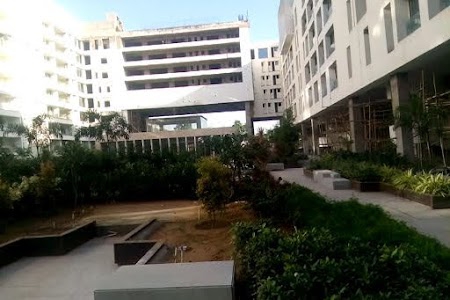Palasiya