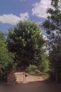Rathore farm house